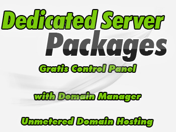Half-priced dedicated server hosting service